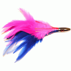 Swallow