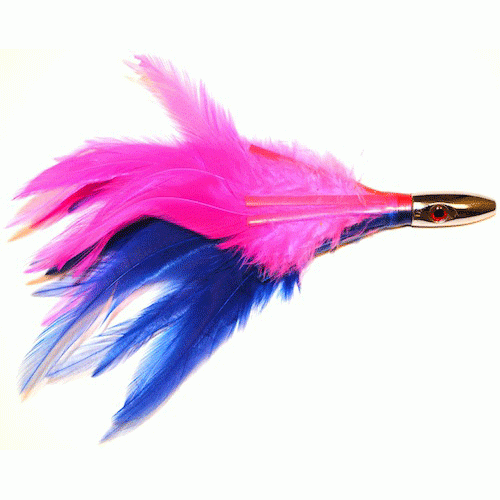 Swallow